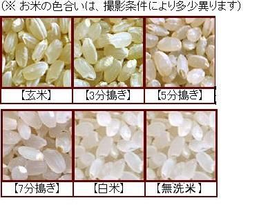 令和6年産 野川清流米 特別栽培米山形県産はえぬき 玄米25kg 令和6年産 野川清流米 特別栽培米山形県産はえぬき 玄米25kg