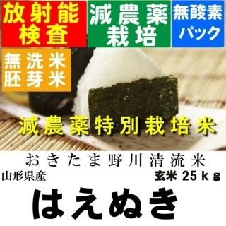 令和4年産 野川清流米 特別栽培米山形県産はえぬき 玄米25kg 精米・送料無料