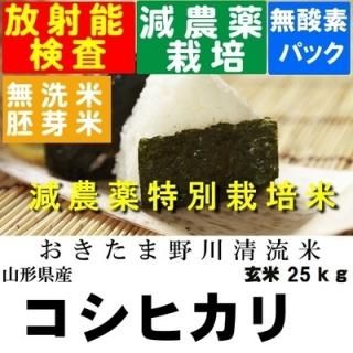 令和4年産 野川清流米特別栽培米 山形県産コシヒカリ 玄米25kg 精米・送料無料