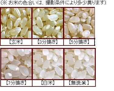 令和４年産 登米ライスサービス 無農薬米 宮城県産ササニシキ 玄米