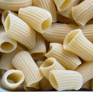 【業務用生パスタ】10食リガトーニ〜rigatoni〜【国産小麦×セモリナ粉】