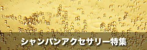 ѥ󥢥꡼ý