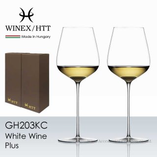 WINEX/HTT  磻󥰥饹 ӥåȡʡ GH313KCx6