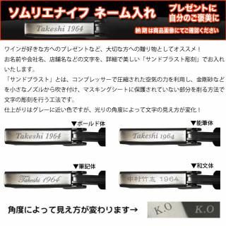 SEKIꥨʥѥ͡ùӡˡǼ󣱣ĶʿˢƱ̾ NAME