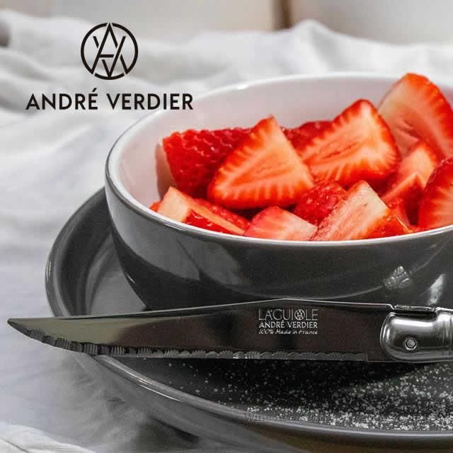 ANDRE VERDIER アンドレ・ヴェルディエ ラギオール ステーキ ANDRE VERDIER アンドレ・ヴェルディエ ラギオール ステーキ
