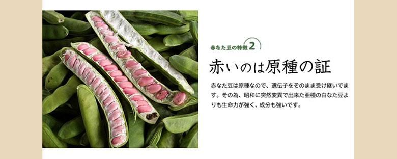 富士の赤なたまめ茶3袋セット(4g×30包×3袋) - 赤なた豆専門店(なたまめ茶なら健康食品オンラインショップ) 富士の赤なたまめ茶3袋セット(4g×30包×3袋) - 赤なた豆専門店(なたまめ茶なら健康食品オンラインショップ)