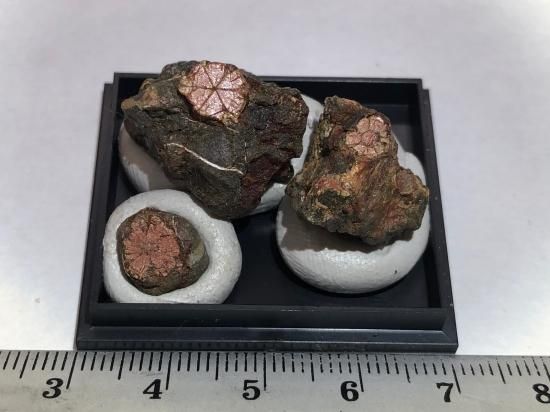 天然記念物！京都・亀岡産☆桜石（セラサイト）母岩付 3点B