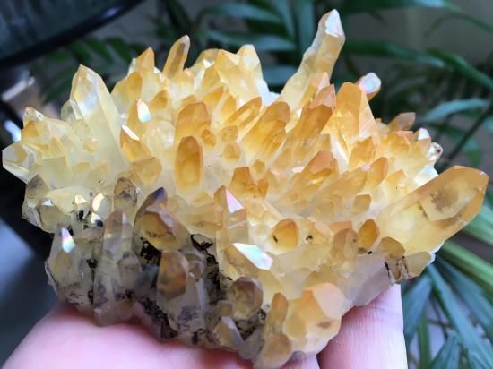 ！超希少！アメリカアーカーソン州　ゴールデンヒーラ　クラスター アメリカ・アーカンソー州産ゴールデンヒーラークラスター 163g