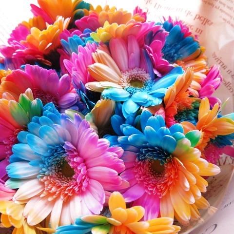 レインボーガーベラ入りの花束 本の花束 サプライズなフラワーギフト レインボーガーベラ入りの花束 本の花束 サプライズなフラワーギフト