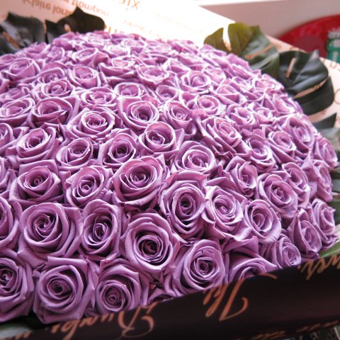 プロポーズに紫バラ 100本のプリザーブドフラワーの花束
