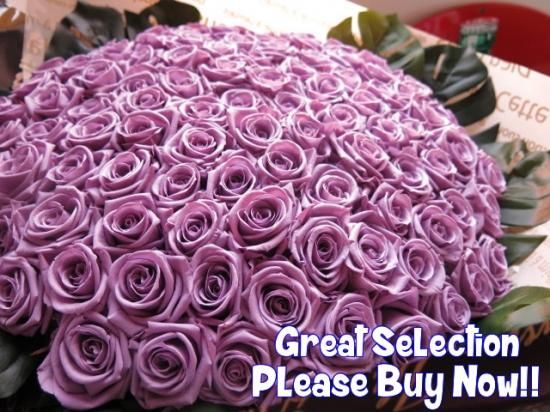 ブリザーブドフラワー 薔薇 100輪 楽天市場】バラ100本 ブリザードフラワーの通販