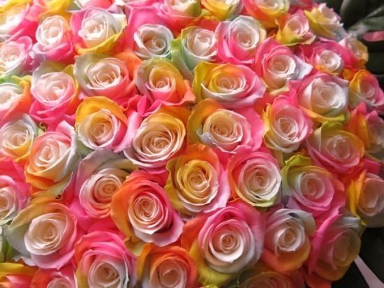 プリザーブドフラワー108本の花束。レインボーローズ108本で