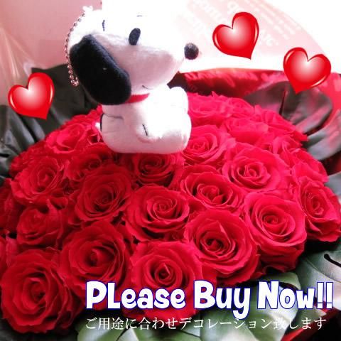 プリザーブドフラワー 花束 スヌーピー入り 赤バラ プロポーズ 結婚祝い 還暦祝い プリザーブドフラワー 花束 スヌーピー入り 赤バラ プロポーズ 結婚祝い 還暦祝い
