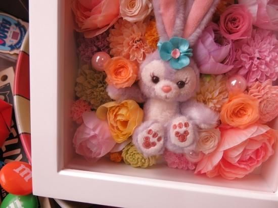 ステラルー ぬいぐるみ ガラスケース プリザーブドフラワー入り