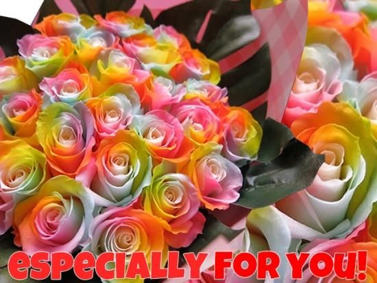 正月 2024 New 2024 Model] Kawasaki ZX-10R delivered! Outstanding performance