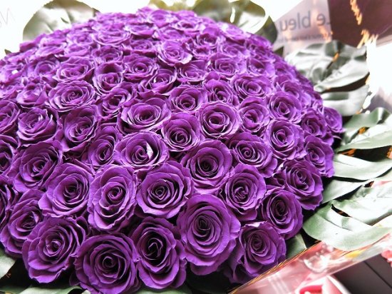 70歳お祝い 古希 記念日 70歳 紫バラ 花束風 枯れない バラ 70本