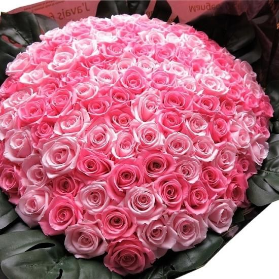 プロポーズ ピンクバラ 100本 ピンクミックス 花束 枯れない プロポーズ ピンクバラ 100本 ピンクミックス 花束 枯れない