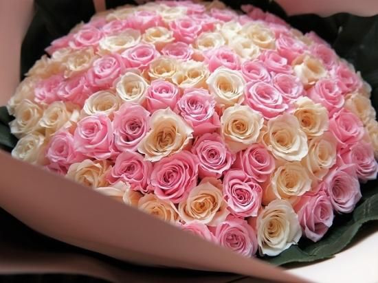ブリザーブドフラワー 薔薇 100輪 プリザーブドフラワー プロポーズにピンクバラ 100本の