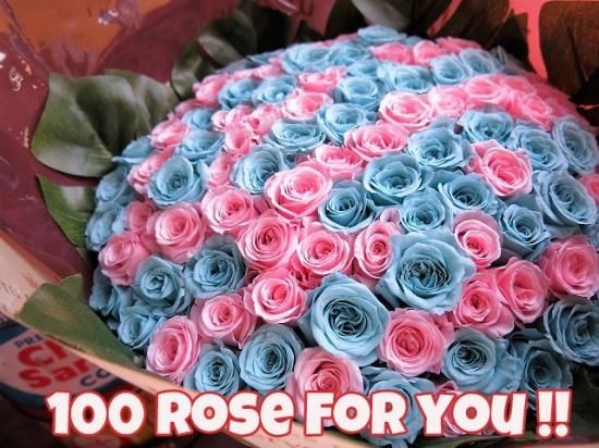 プリザーブドフラワー プロポーズにピンクバラ 108本の