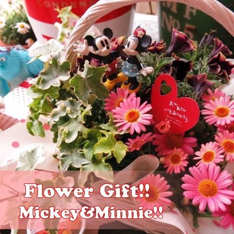 母の日 プレゼント 鉢植え ディズニー ミッキー ミニー ミックスバスケット 母の日 プレゼント 鉢植え ディズニー ミッキー ミニー ミックスバスケット