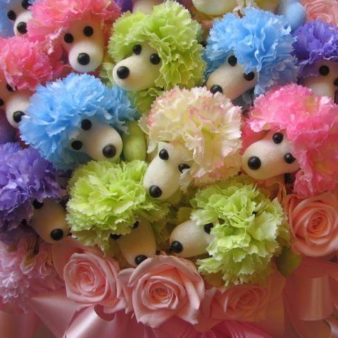 4月25日までの特別価格 プードル 花 フラワーギフト プードル15匹入り プリザーブドフラワー