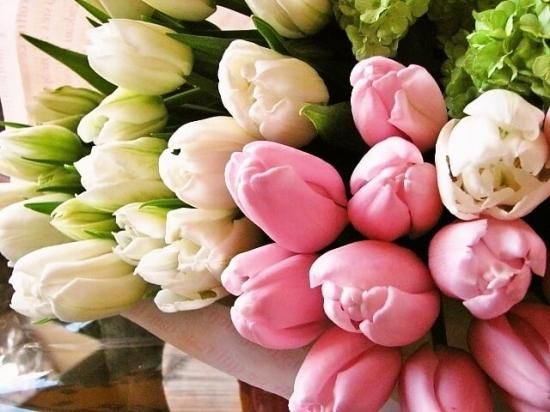 チューリップのフラワーアレンジメント 春の花ギフト