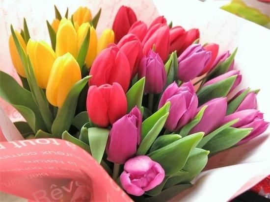 チューリップのフラワーアレンジメント 春の花ギフト