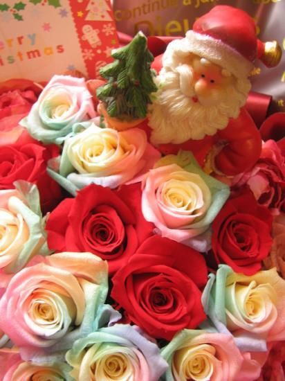 クリスマスプレゼント 花 レインボーローズ プリザーブドフラワー フラワーギフト ゴージャス レインボーローズ 赤バラのスペシャルプリザーブドフラワー サンタ付き