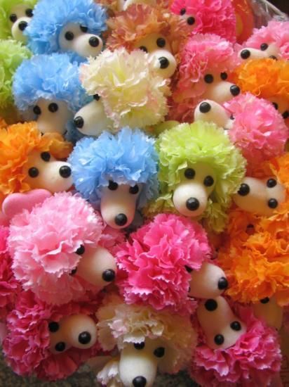 母の日 プードル カーネーション ピック 母の日プレゼントとご一緒に プードル ピック