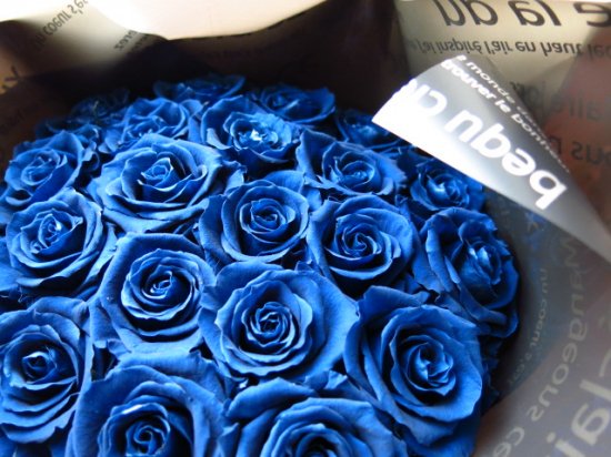 青色 バラ 青いバラの花束 本