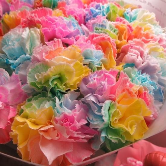 母の日 花束 レインボーカーネーションの花束