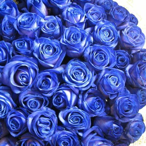 【原画】青い花束 Amazon｜RERXN 薄い色、癒す花 フラワー(17輪) ソープフラワー