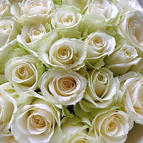 白バラ入り花束 お好きな本数だけ 結婚祝い ディズニー 誕生日プレゼント スヌーピー 花 プリザーブドフラワー 母の日 フラワーギフト リーブス
