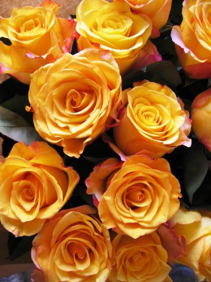 イエロー系のギフト 黄色いバラの花束 結婚祝い ディズニー 誕生日プレゼント スヌーピー 花 プリザーブドフラワー 母の日 フラワーギフト リーブス