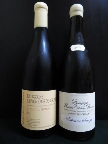 ドメーヌ・ピエール・イヴ・コラン・モレ(Domaine Pierre-Yves
