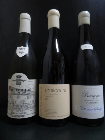 ホットセール ドメーヌ・ピエール・イヴ・コラン・モレ(Domaine Pierre-Yves ワイン