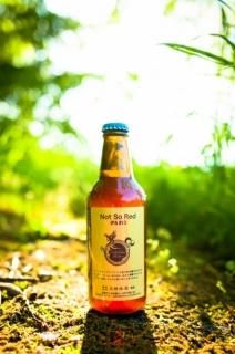 ビール - 玉村本店