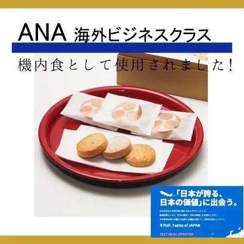 こうさんお品物 鈴木製作所 クリスタルトリオL(カメ水槽400用フタ) 水槽用フタ