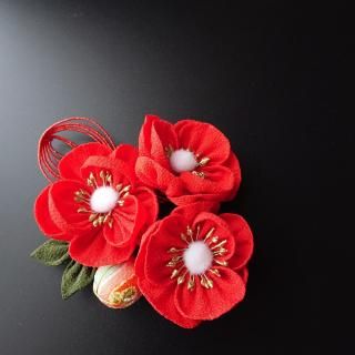 <img class='new_mark_img1' src='https://img.shop-pro.jp/img/new/icons1.gif' style='border:none;display:inline;margin:0px;padding:0px;width:auto;' />֤ۤ֡󤶤