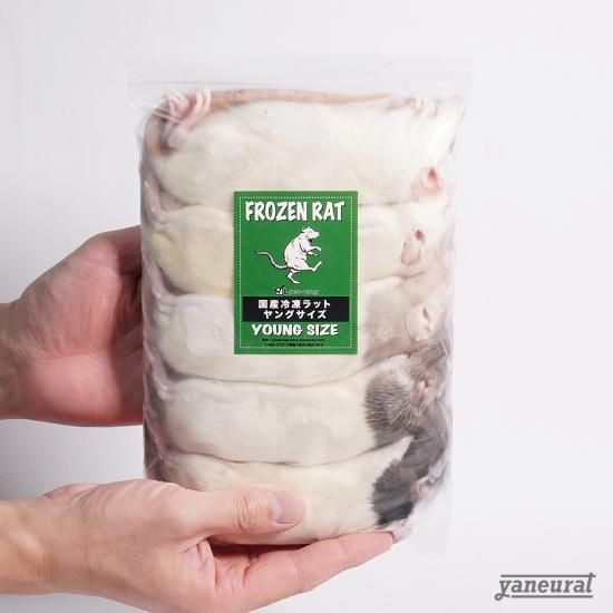 国産】冷凍ヤングラットL-130g~150g-※5匹セット - 冷凍餌