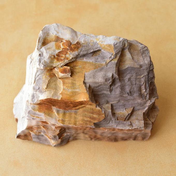珪化木　ペトリファイドウッド　石になった木　愛知県犬山市産　145g/ 化石・フォッシル