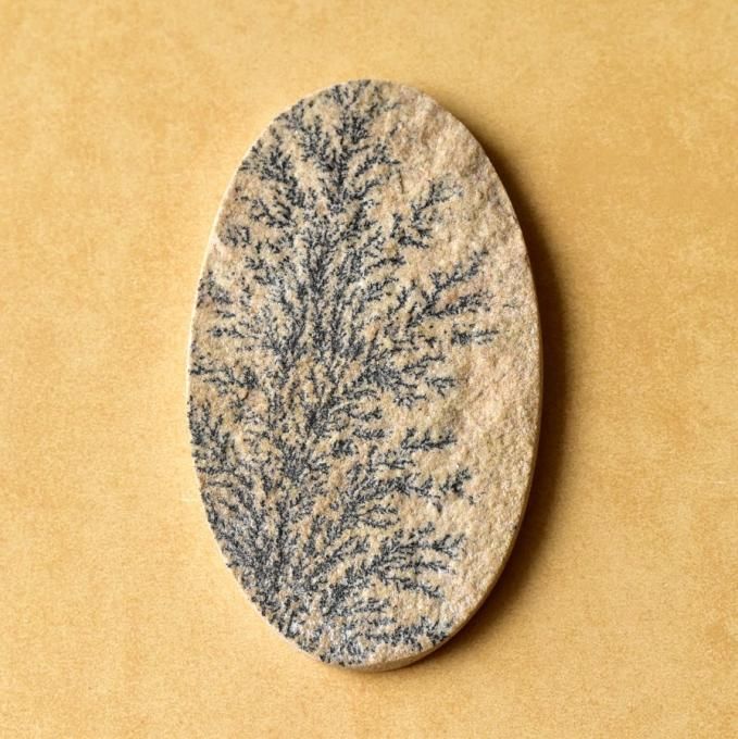 128849547.jpg?cmsp_timestamp=