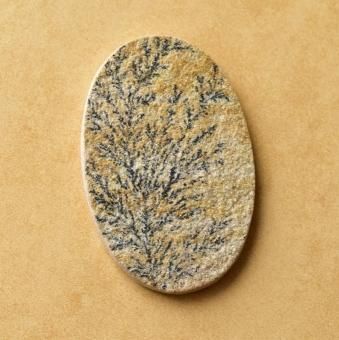 ǥɥ饤ȡ饤ॹȡGerman Dendrite66cts./ 롼쥯