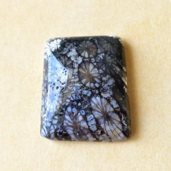 եå롦롡Black fossils21cts./ лꡦ롼