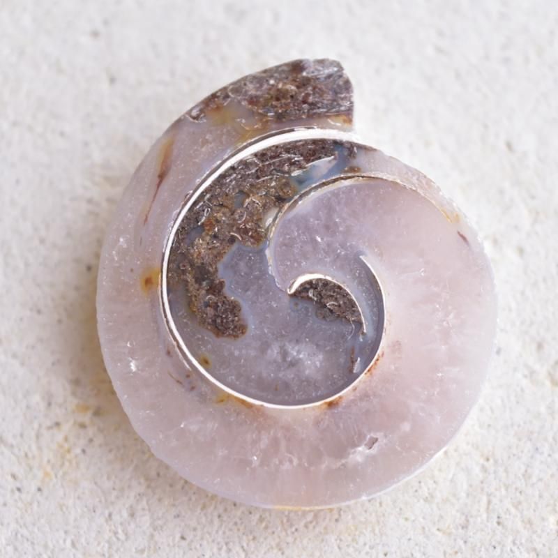 フォッシルスネイル らせん インド産 40cts./ ルース・貝化石 フォッシルスネイル らせん インド産 40cts./ ルース・貝化石