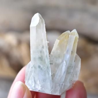 饤ȡ󡦥ġ饹륵ȡBotanical quartz֥륬ꥢޥۻ25g/ ʪ徽 