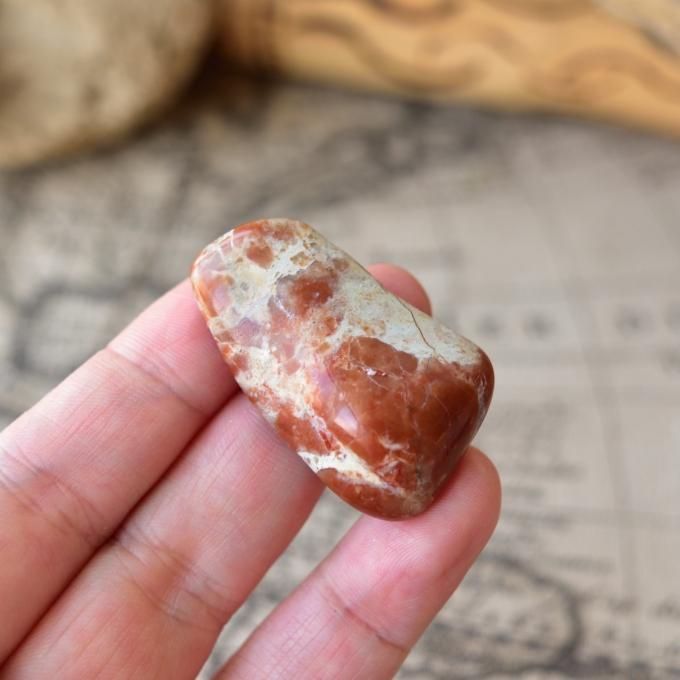 恐竜の糞（コプラライト）900g 恐竜の糞（うんち）が化石になった鉱物、コプロライト
