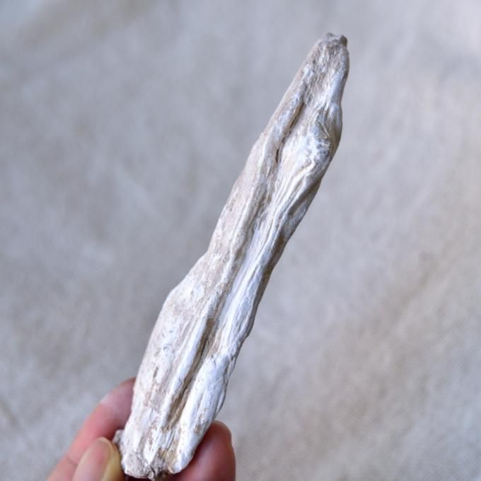 珪化木大宝珠② 楽天市場】珪化木の通販