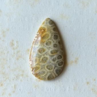 フォッシル(化石) - Stone marble フォッシル(化石) - Stone marble