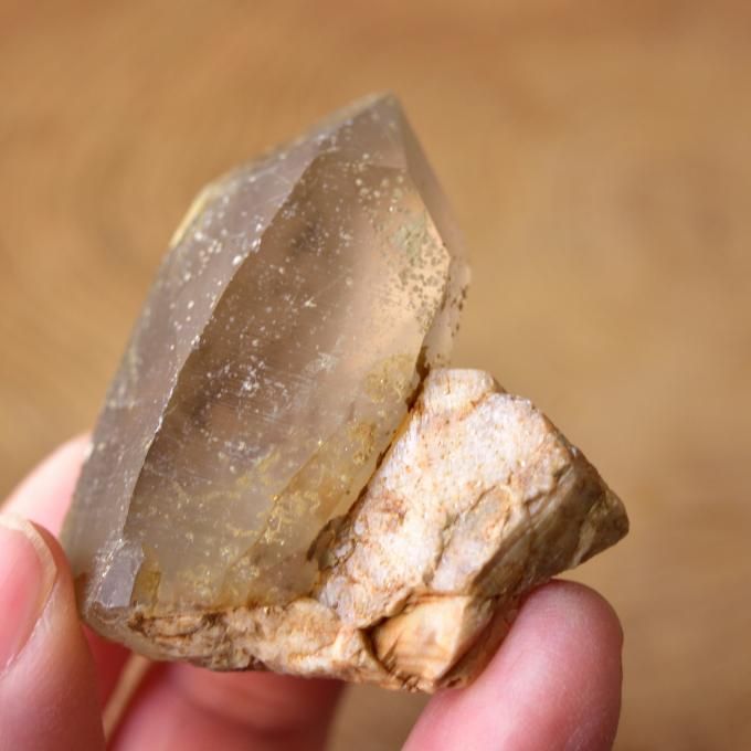 鹿川(ししかわ)煙水晶 スモーキークォーツ ドフィーネ式双晶 鹿川(ししかわ)煙水晶 スモーキークォーツ ドフィーネ式双晶